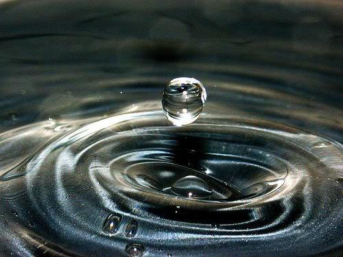 BE WATER, MY FRIEN#1