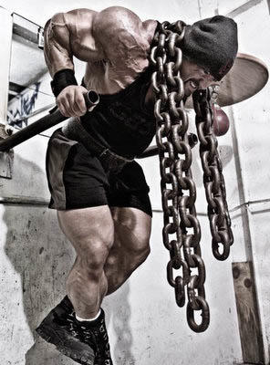 STINGERS AND A STRONG PHYSIQUE#3