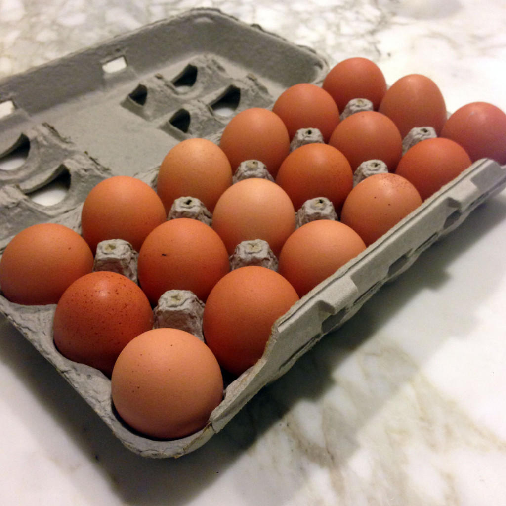 eggs