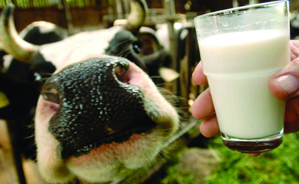 CrossFit-Football-Talk-To-Me-Johnnie-Raw-Milk