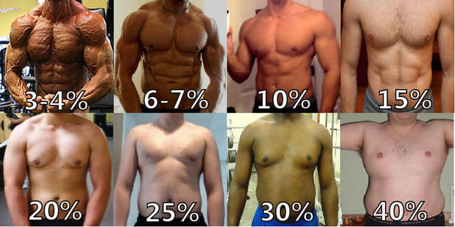 body-fat-percentage-men