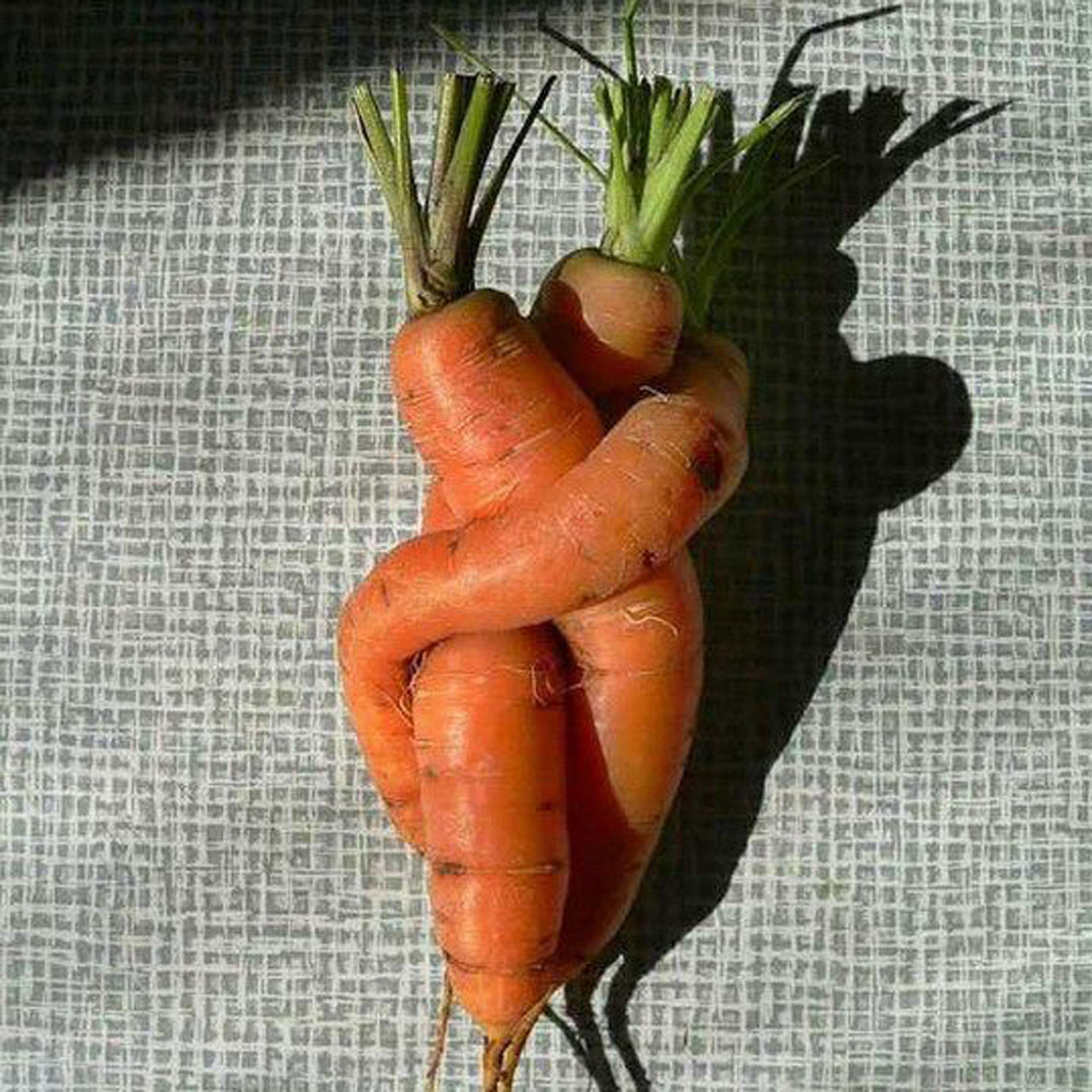 carrots