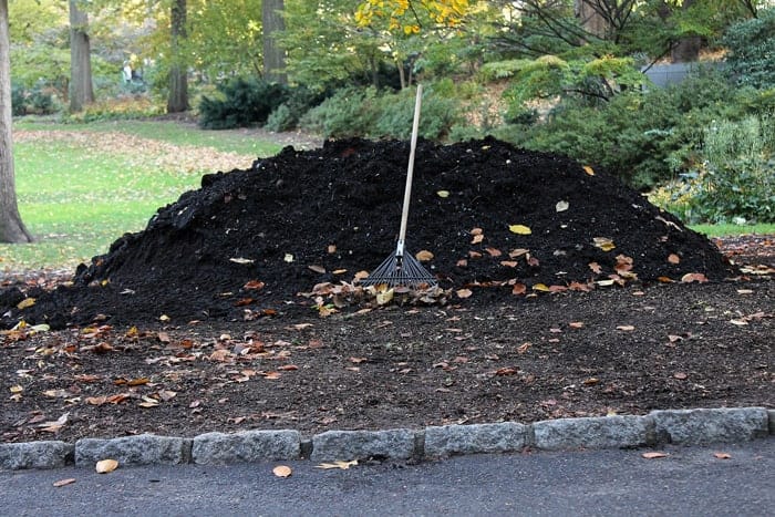 A heap of leaves and a shovel in a park, indicating the need for waste removal.