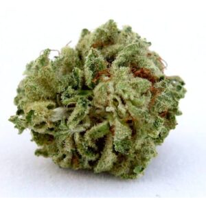 kush flower buds