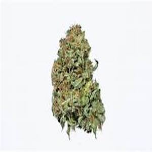 Platinum Bubba