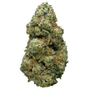 alaskan thunder fuck