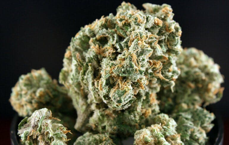 infused-flower