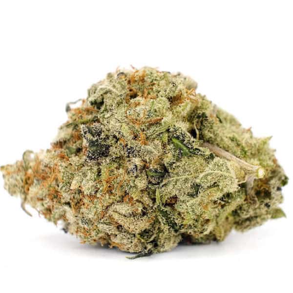 Girl Scout Cookies