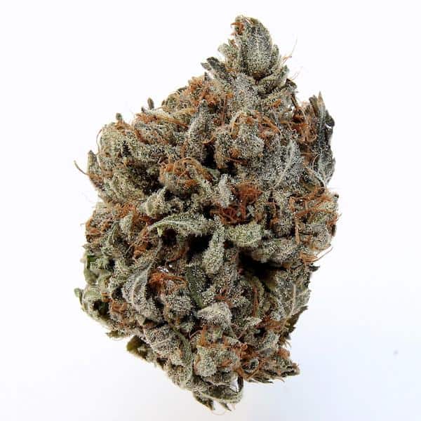 Chemo