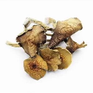 Albino A+ Mushrooms