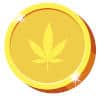 gold coin with cannabis leaf