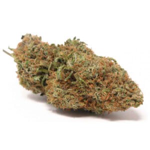 gelato punch weed strain