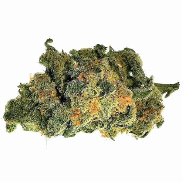 grandaddy purple marijuana strain