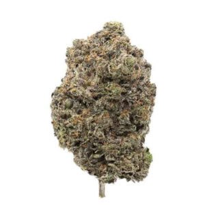 el chapo cannabis strain