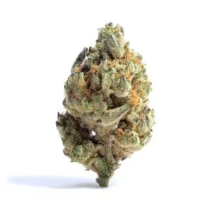 grandmommy purple indica cannabis strain