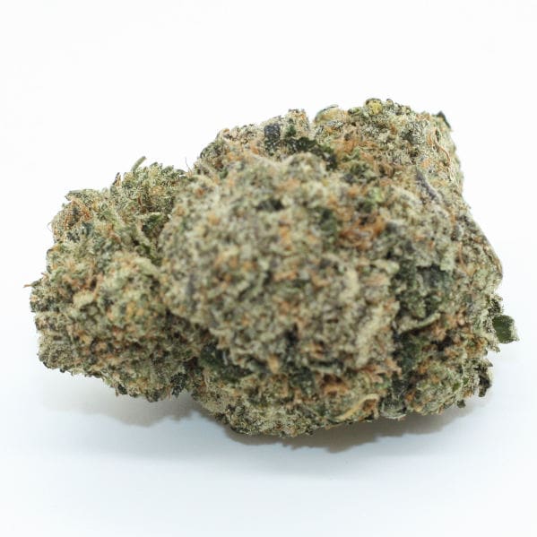 black truffle weed strain