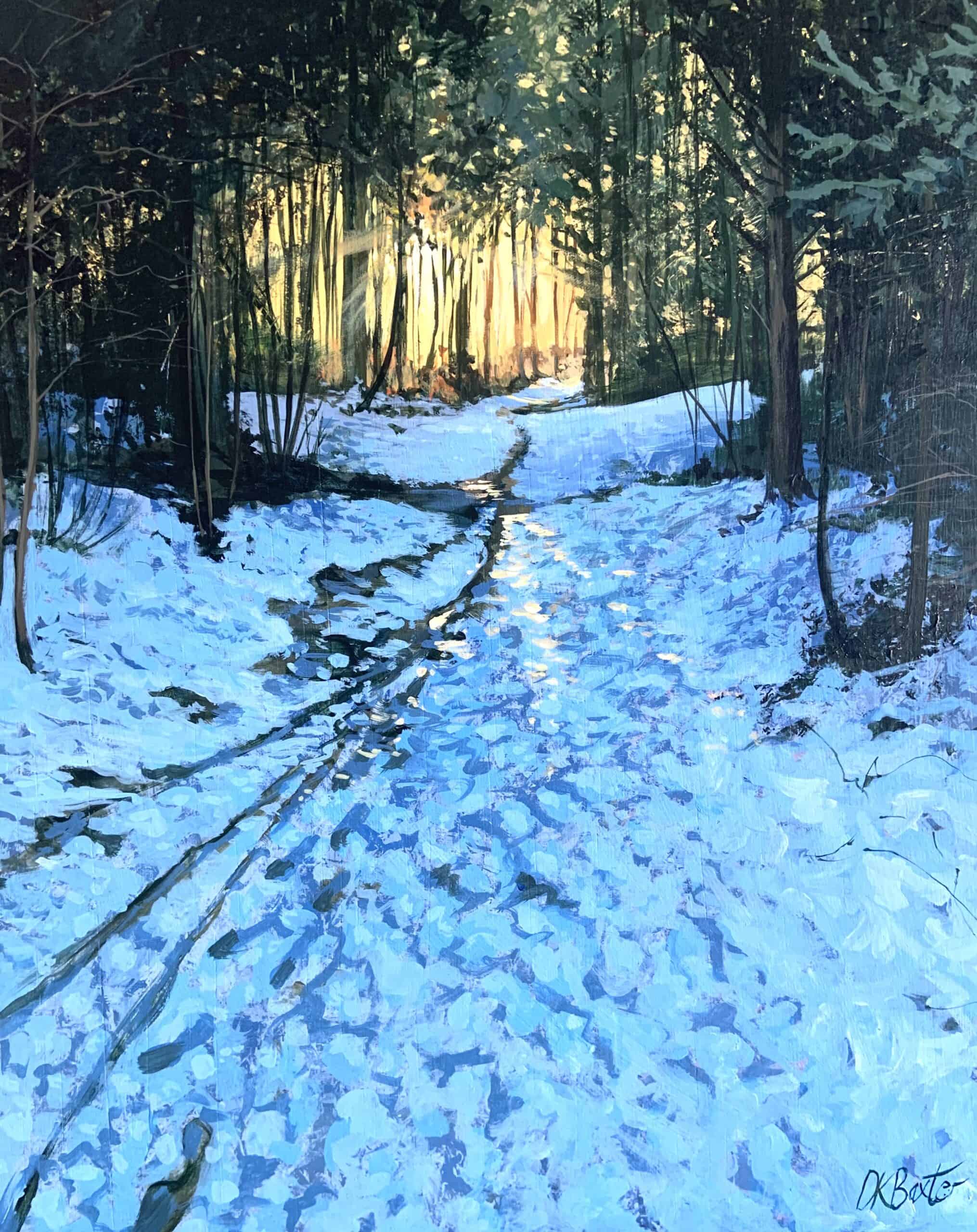 A Winters Snow Filled Walk