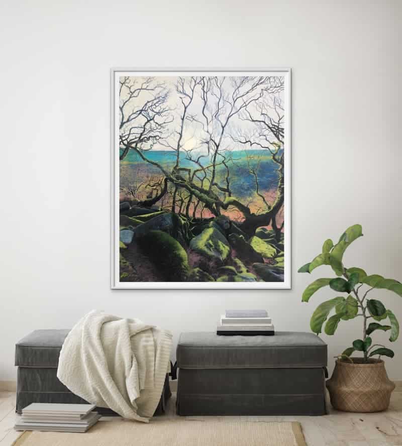 Wistmans Wood Sunlight - Image 2