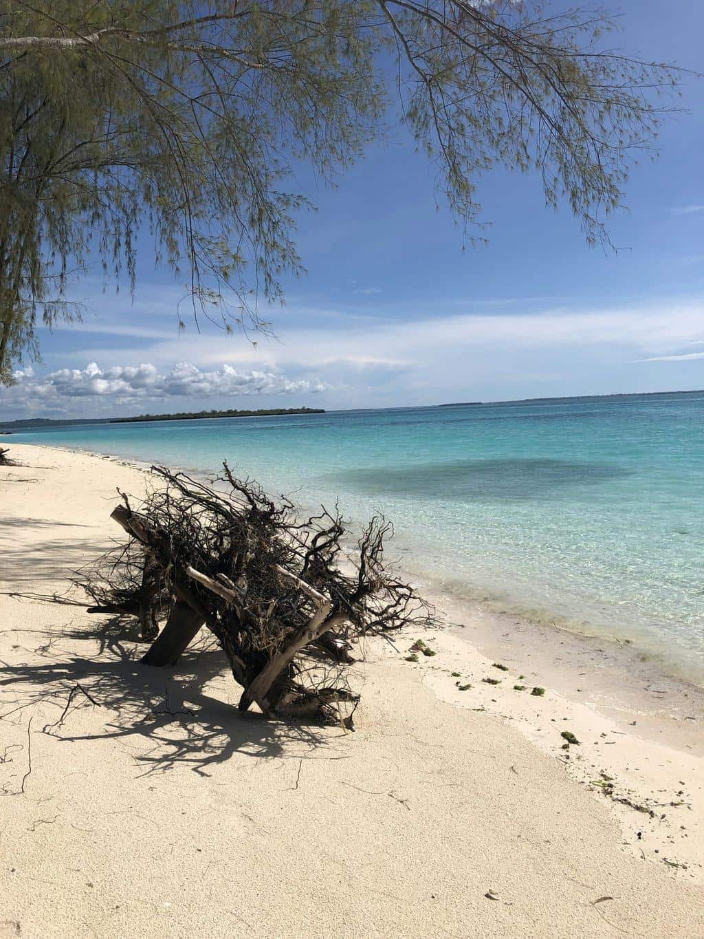5 Unforgettable Experiences for 5 Days in Zanzibar