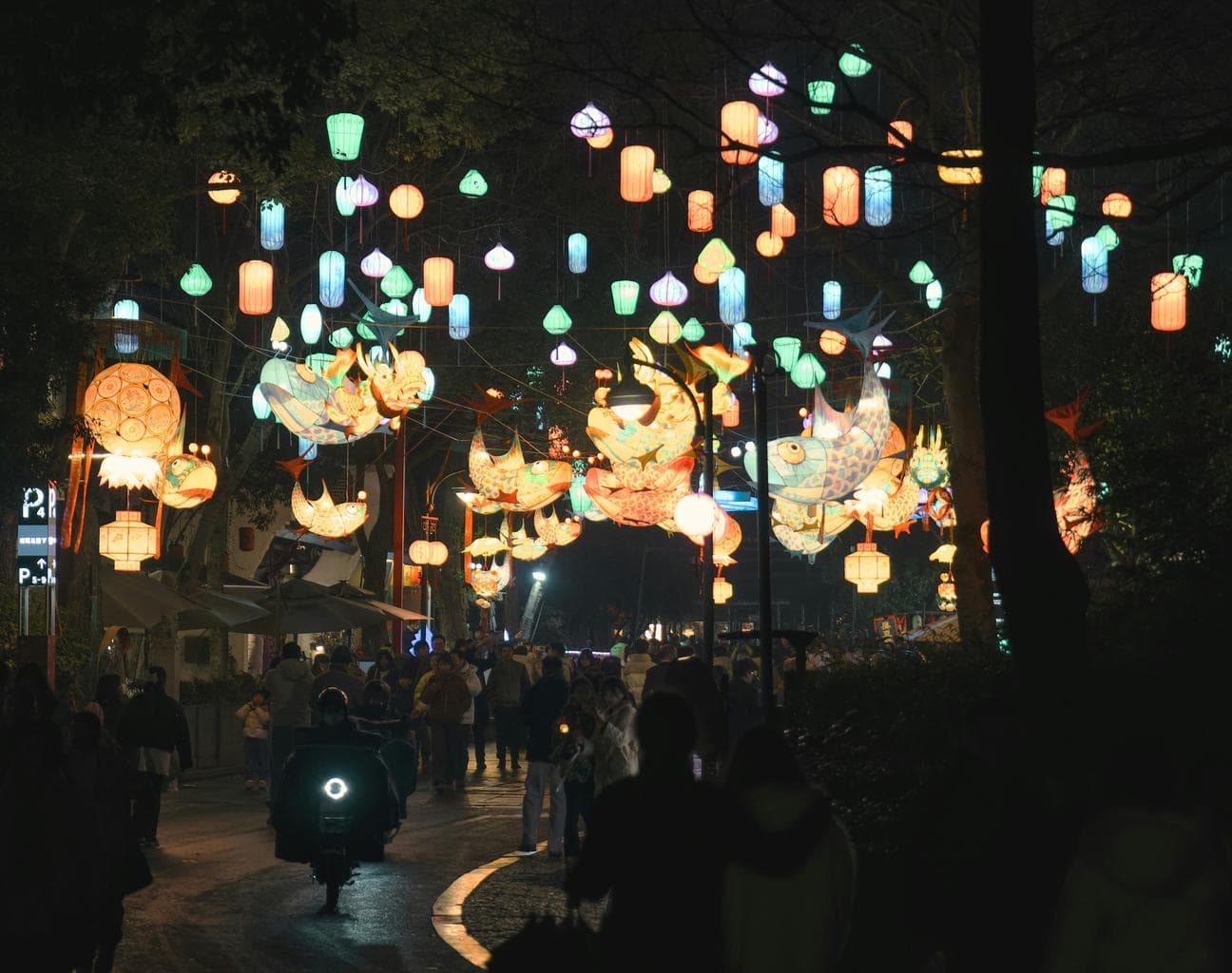Unique Festivals in Asia