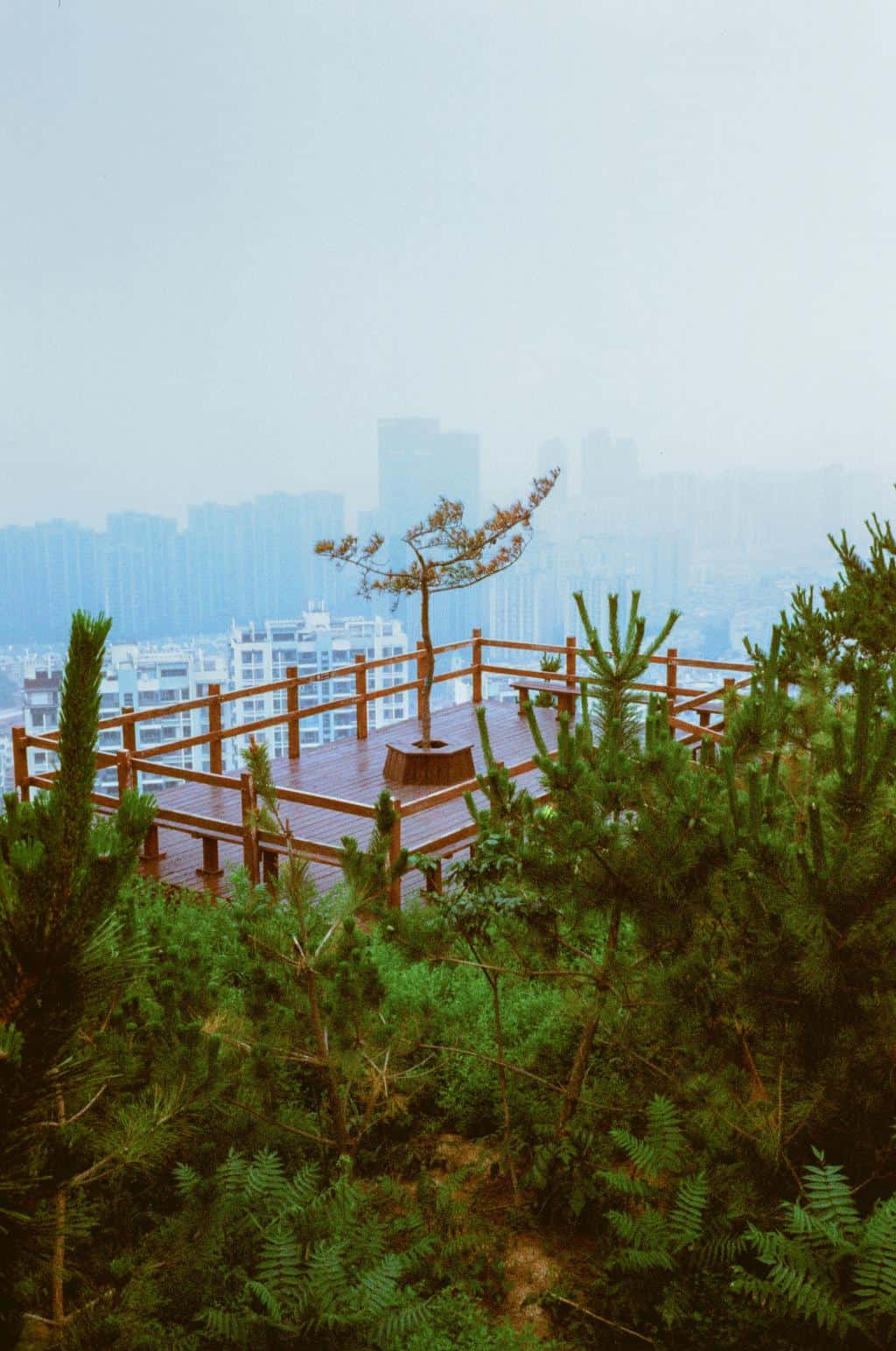 Urban Nature Retreats 2026