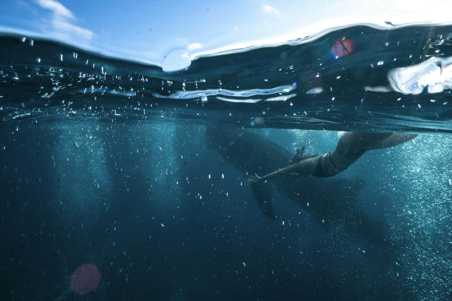 Swimming with Humpback Whales