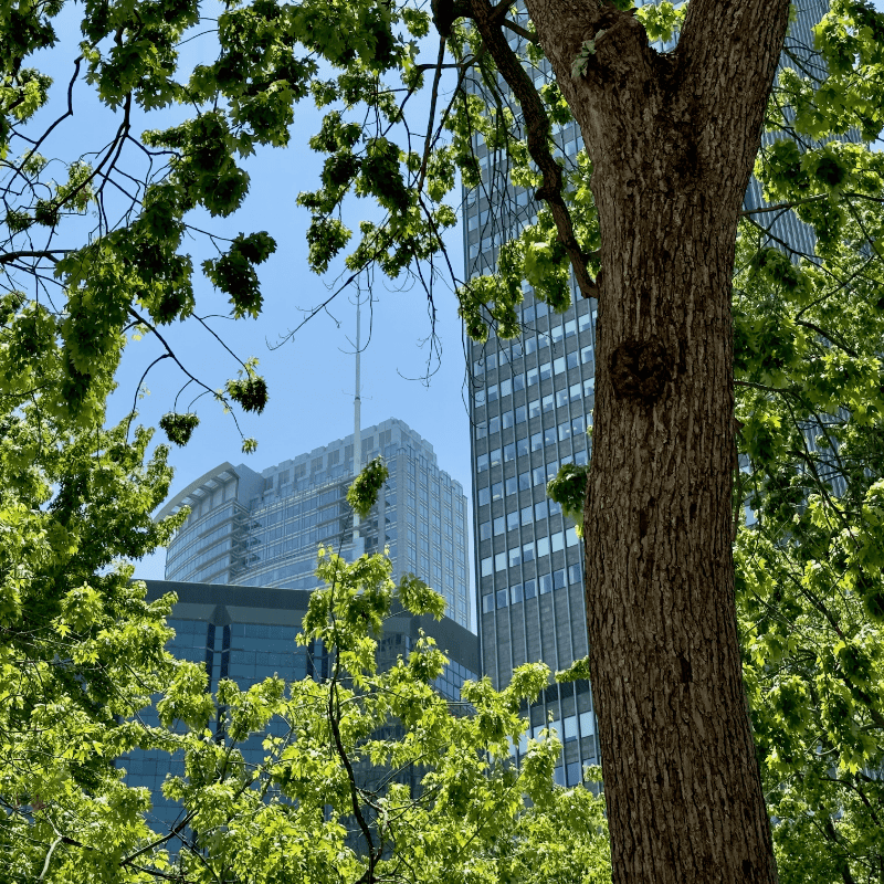 Scenic view of top green cities in 2026 with lush greenery and eco-friendly buildings