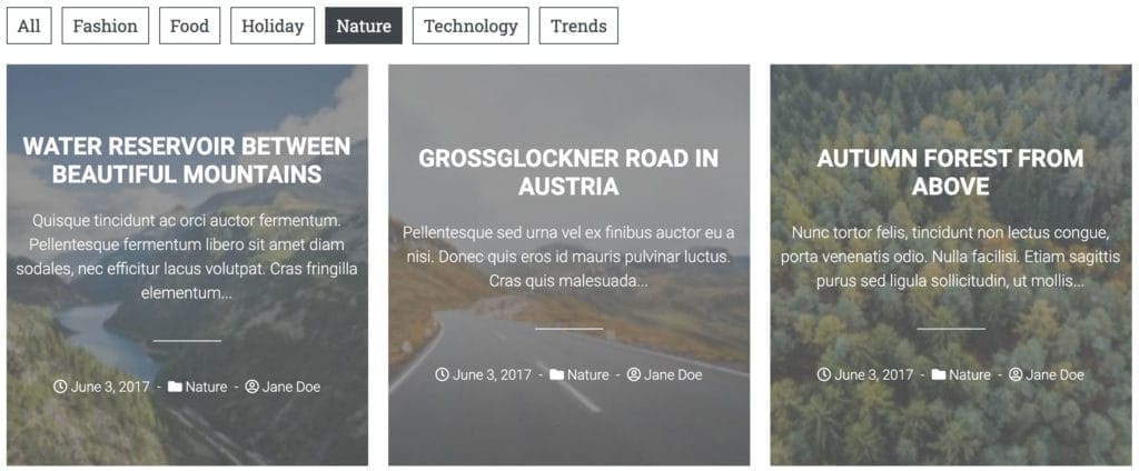 Filter Bar