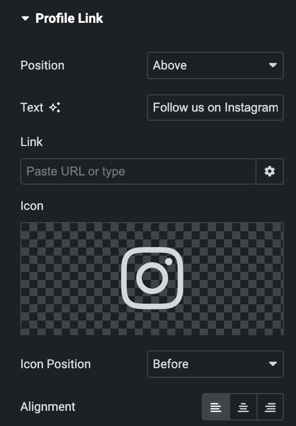 Instagram Feed Profile Link Settings