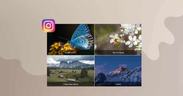 Instagram Feed in Elementor