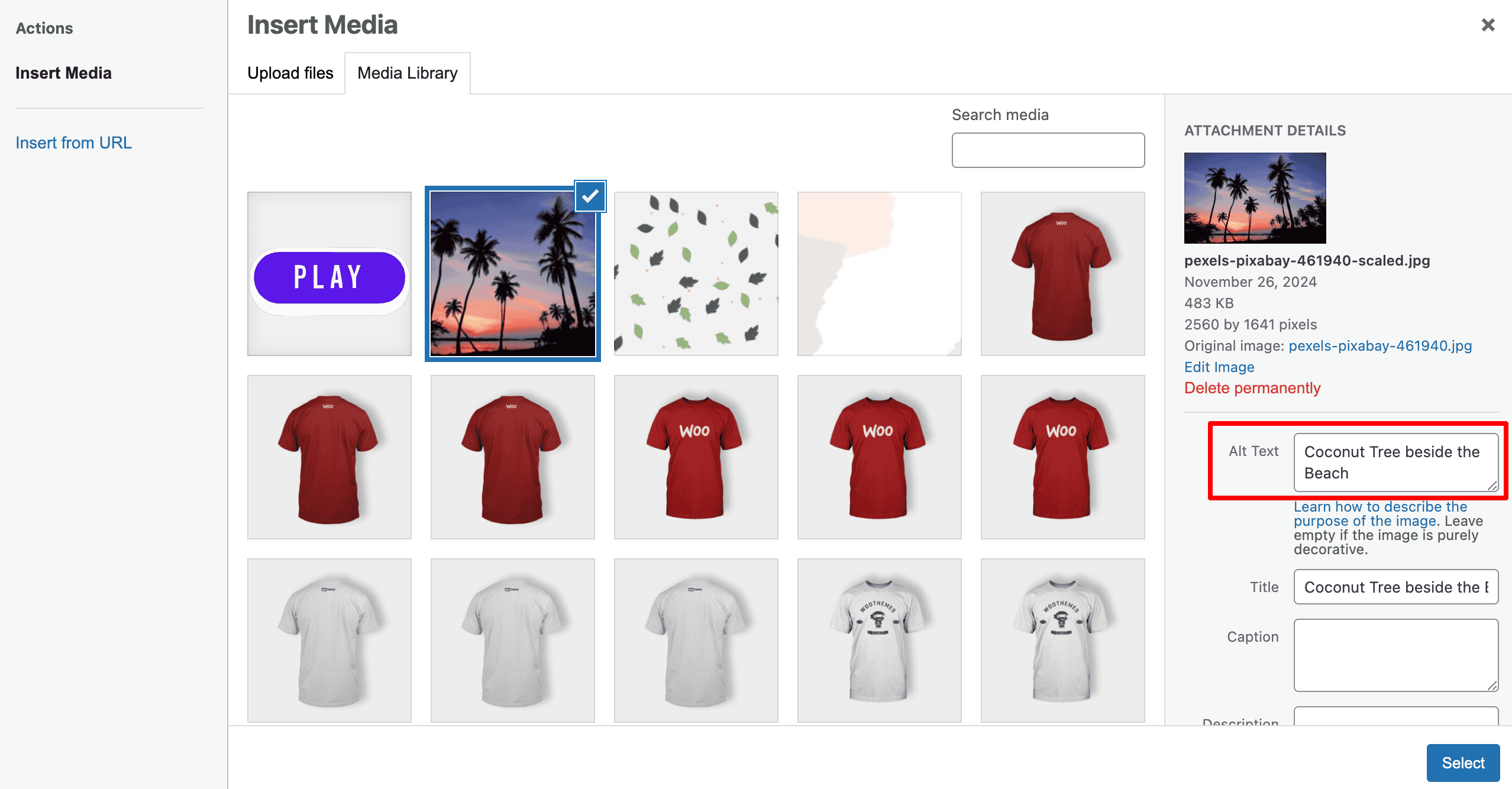 Website Accessibility: Add Alt Text For Images