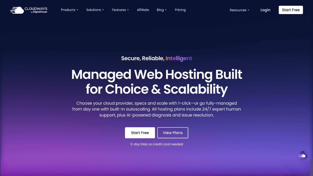 Cloudways hosting