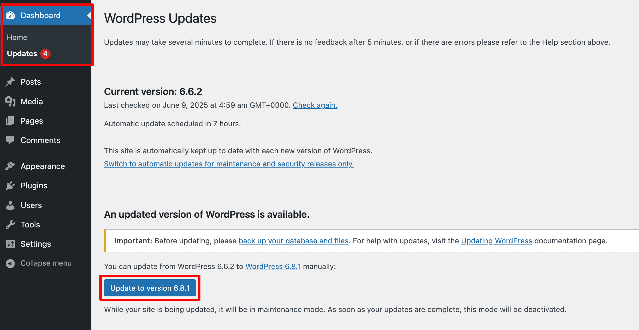 Update WordPress & Elementor