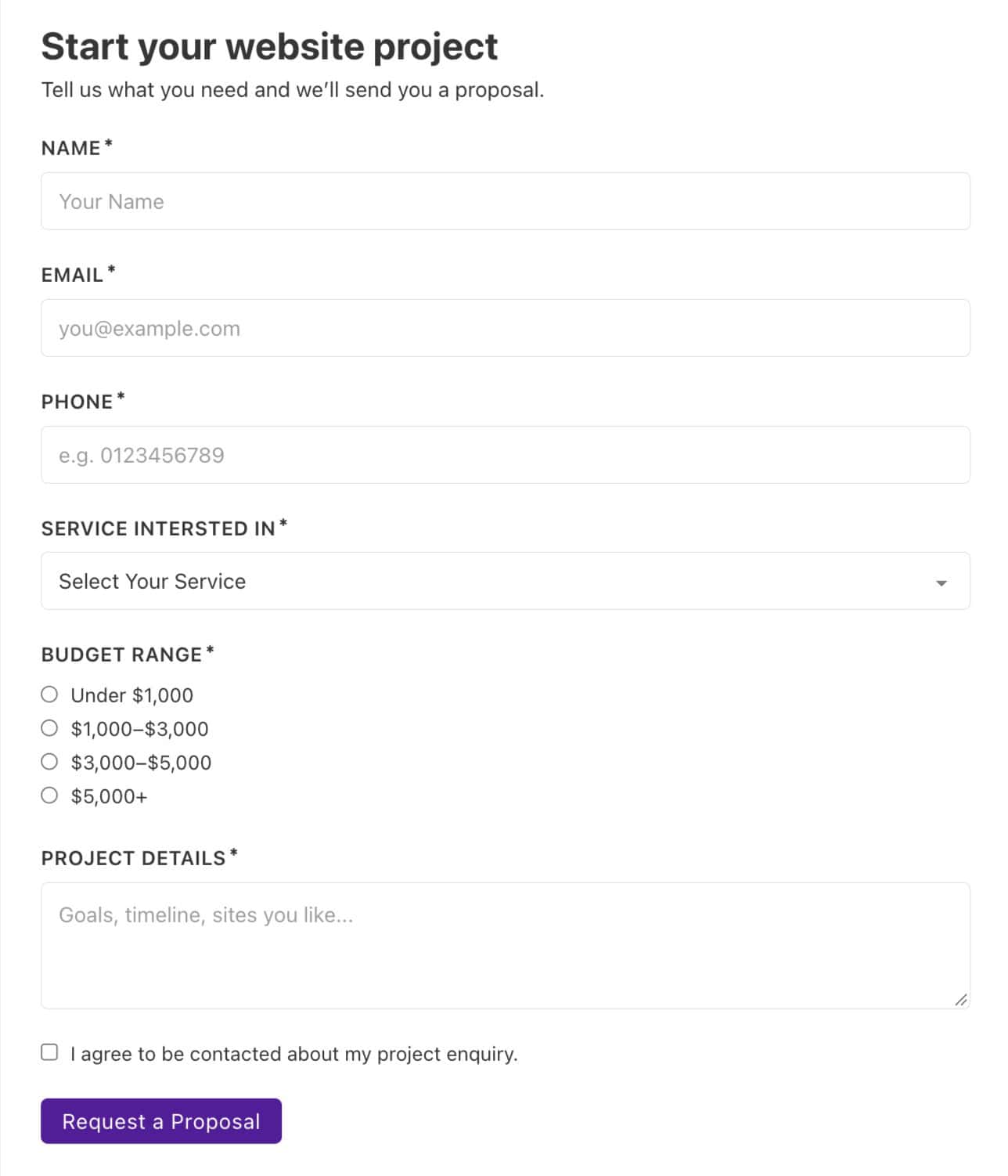 Project Details form using Bricks Builder form in WordPress