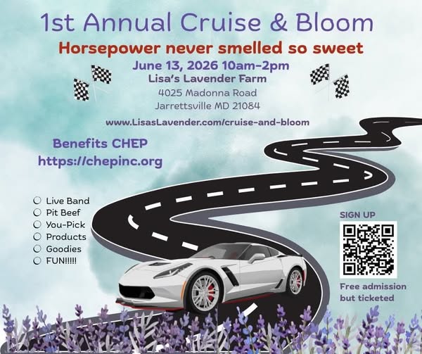1st Annual Cruise & Bloom event at Lisa's Lavender Farm in Jarrettsville, MD on June 13, 2026