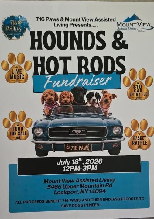716 Paws & Mount View Assisted Living Presents Hounds & Hot Rods Fundraiser event at Mount View Assisted Living in Lockport, NY on July 18, 2026