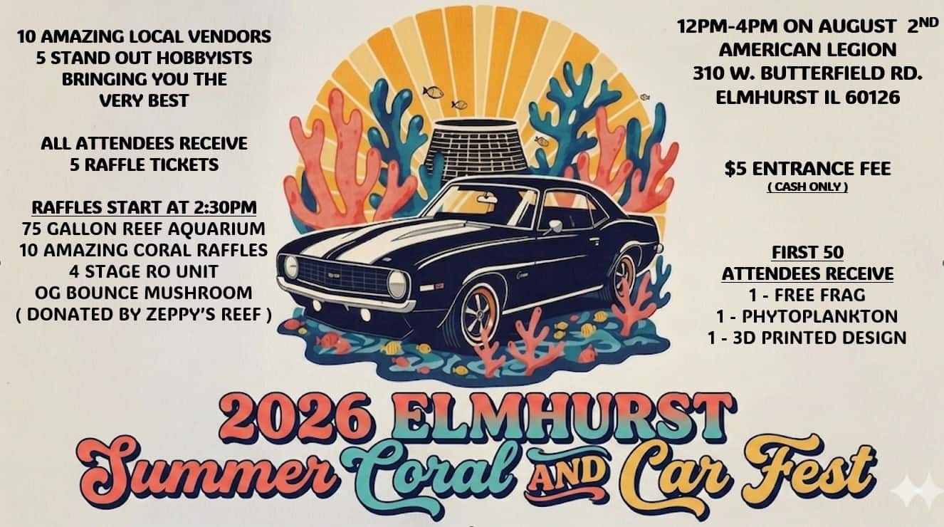 2026 Elmhurst Summer Coral and Car Fest event at American Legion in Elmhurst, IL on August 2, 2026