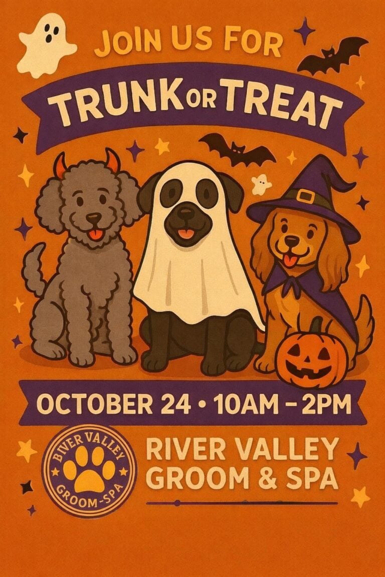 Trunk or Treat at River Valley Groom & Spa car show in Morton, MN