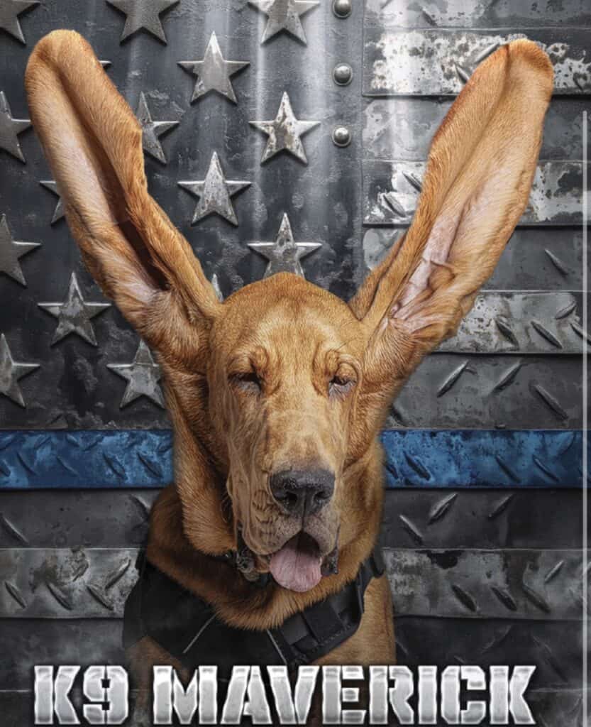 K-9 Maverick Car Show Fundraiser event at Shepherd Hill Regional High School in Dudley, MA on August 16, 2026