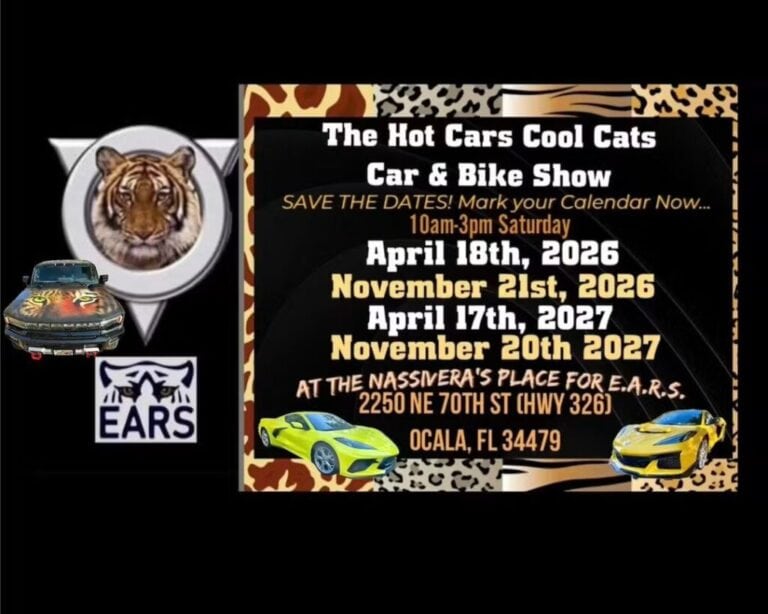 Hot Cars Cool Cats Car & Bike Show car show in Ocala, FL