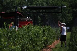 Application of Bird Netting