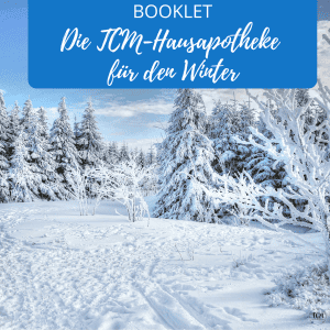 TC²M Workshops und CO 2 2