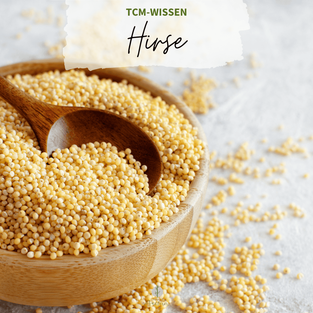 Hirse TCM Wissen