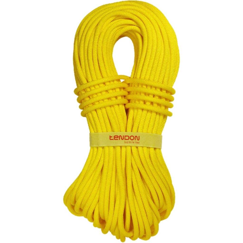 Tendon Ambition 9.8mm rope