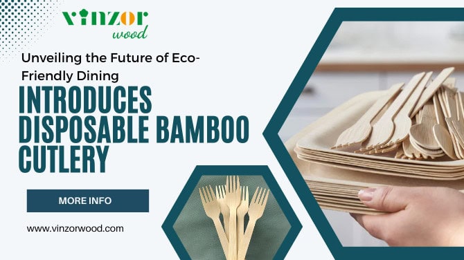 Suistanable & Eco-Friendly Disposable Bamboo Cutlery