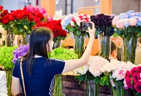 Kunming International Flowers & Plants Expo 2025