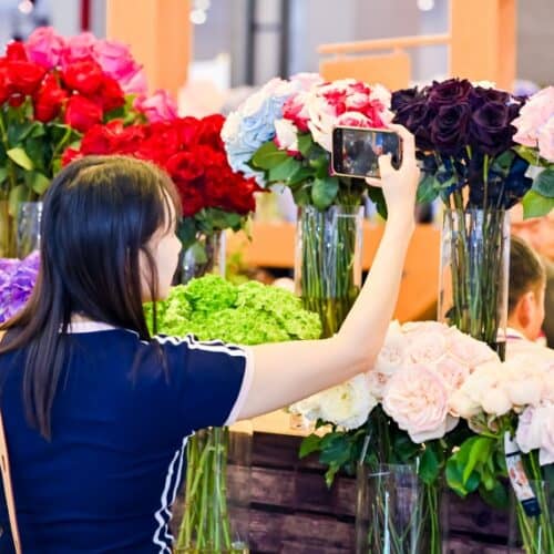 Kunming International Flowers & Plants Expo 2025
