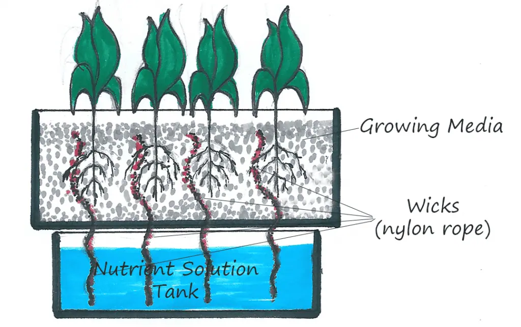 Hydroponic Wick System Garden Guide