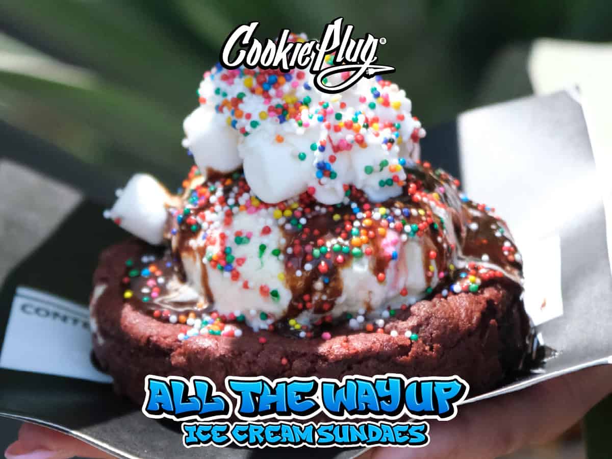 Large closeup of a thick cookie ice cream sundae with a massive chocolate cookie with white chocolate chips, a large scoop of ice cream, marshmallows, rainbow sprinkles, whipped cream, and chocolate syrup.