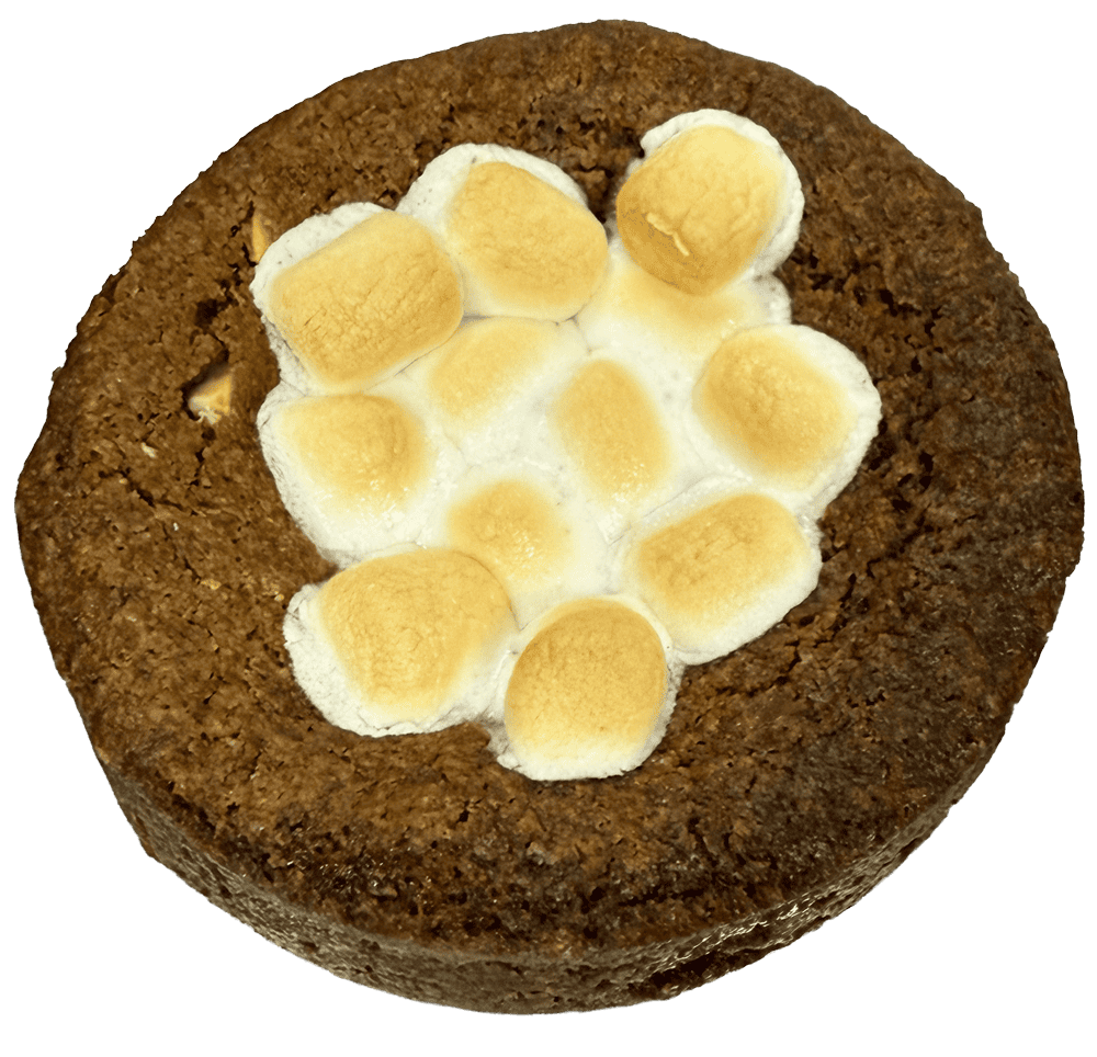 Thick cookie with roasted marshmallows on top